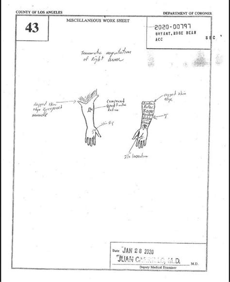 kobe autopsy images|File : Kobe Bryants autopsy report, 2020.pdf